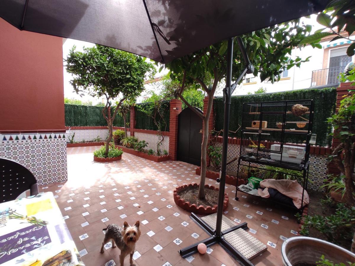 Villa Patricia Málaga Eksteriør billede